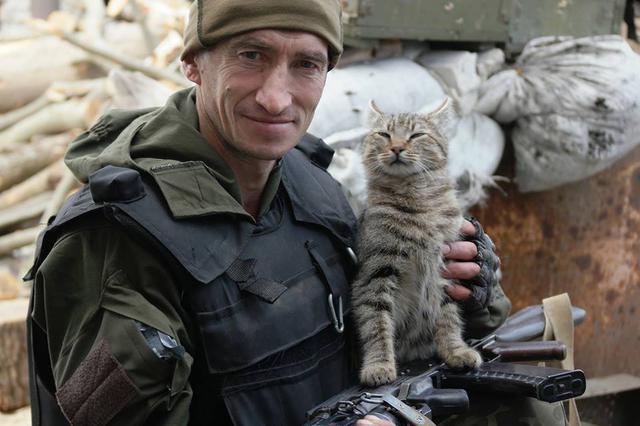 литовченко