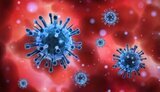 Ukraine reports 15,131 new COVID-19 cases