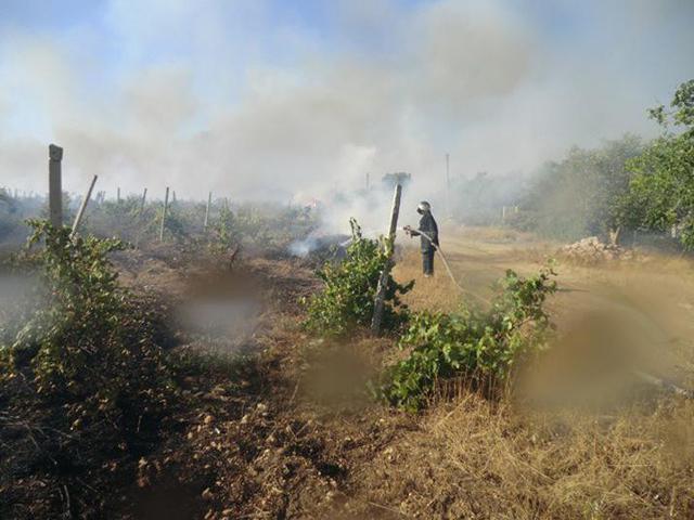 Цензор.НЕТ Изображение