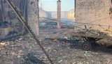 Росіяни зруйнували маточну стайню Запорізького кінного заводу: згорів дах і сінник