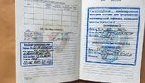 ТКГ о провокации российских оккупантов на Донбассе: Осуществляли разведку с повязками СЦКК. Задержан наемник Андрей Косяк - гражданин РФ. ФОТО