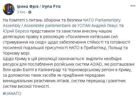 Комітет НАТО одноголосно засудив будівництво Керченського моста, - Фріз 02
