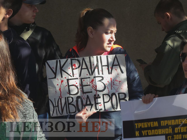 Україна без шкуродерів, - активісти пікетують Шевченківський райсуд Києва з вимогою притягнути до відповідальності догхантера Святогора 13