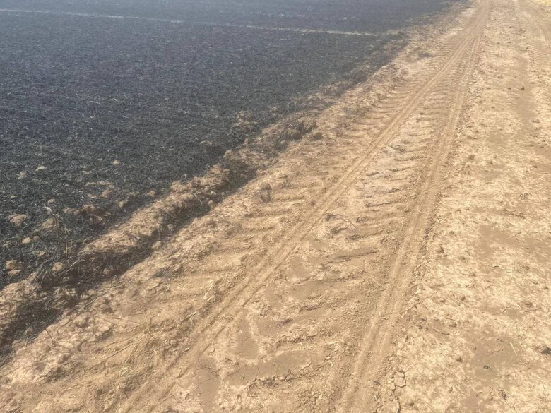 На Херсонщині окупанти обстріляли поле: знищено 25 га озимої пшениці