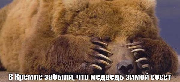 Скоро вечная зима...