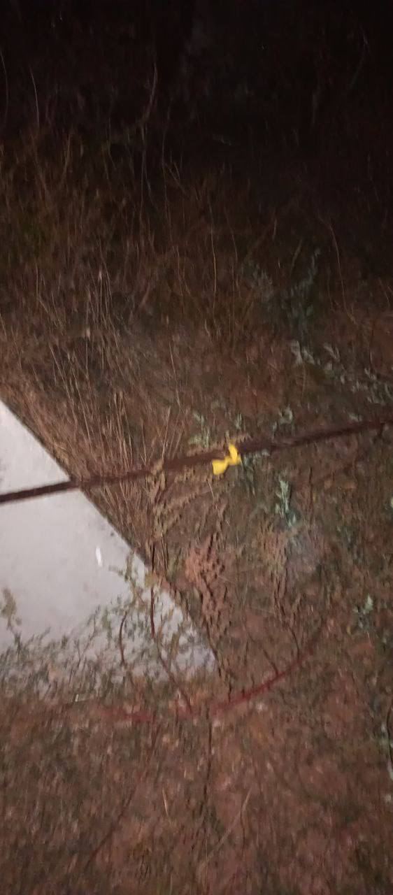 Жовті стрічки розвісили на зубах дракона біля окупованого Джанкоя, - активісти 03