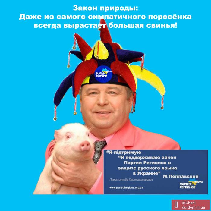 Шут гороховый