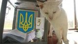 Власть запустила новую технологию фальсификации выборов, - оппозиция