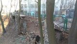 Пішохідний міст обвалився в Шевченківському районі Києва - ніхто не постраждав. ФОТО