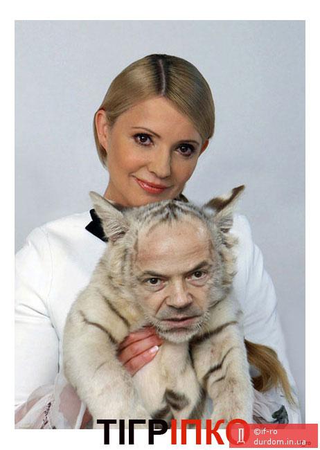 Тігріпко