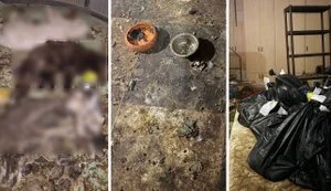 Владелицу "мини-приюта" на Киевщине, где замучили 51 животное, арестовали