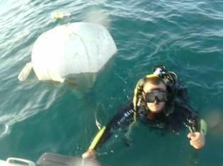 севастополь бомба