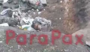 Рашисты показали местность, заваленную мертвыми оккупантами после боевой работы Сил беспилотных систем. ВИДЕО