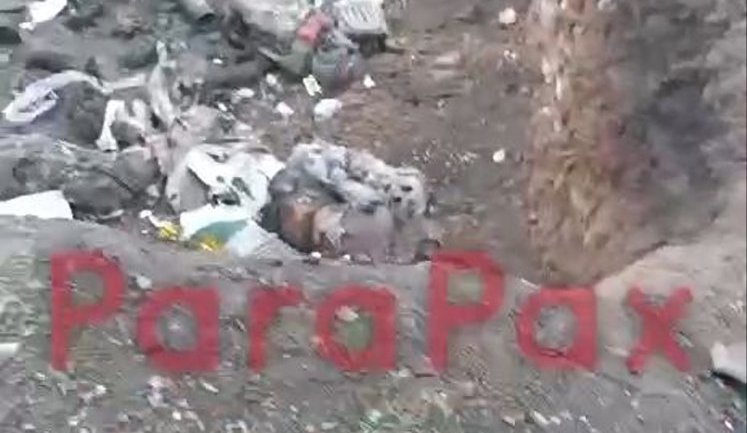 Рашисты показали местность, заваленную мертвыми оккупантами после боевой работы Сил беспилотных систем. ВИДЕО