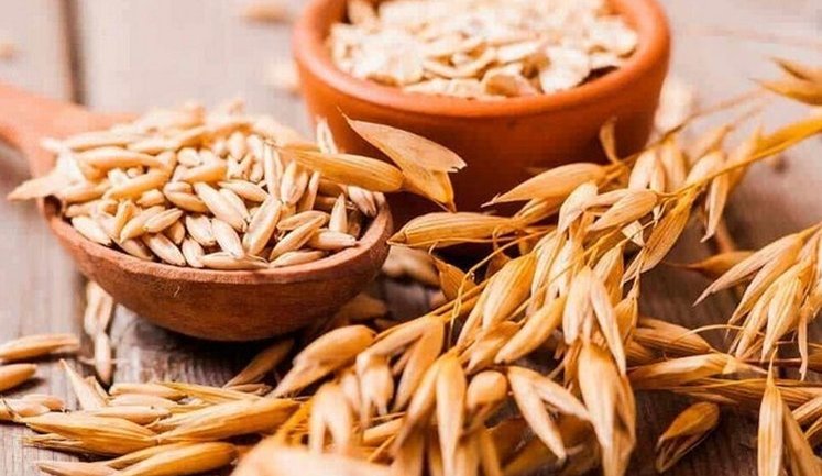 Україна експортувала рекордні за 10 років обсяги вівса: хто основні покупці?