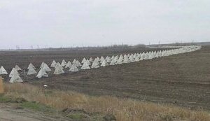 зуби_дракона