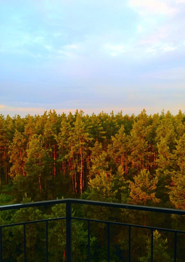 Між орками і янголами. Неймовірна воєнна історія однієї сім’ї з Гостомеля 03