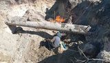 газогін