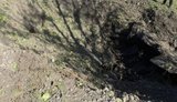 Ворог атакував дронами Кременчуцьку громаду: пошкоджено підприємство та будинки, поранено жінку. ФОТОрепортаж