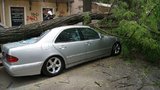Древопад в центре Одессы уничтожил целый VIP-автопарк: пострадали Porsche Cayenne, Mercedes и другие. ФОТОрепортаж