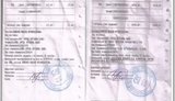 дети коньяк чичваркин