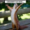 Анна Ширяй