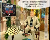 В мире животных