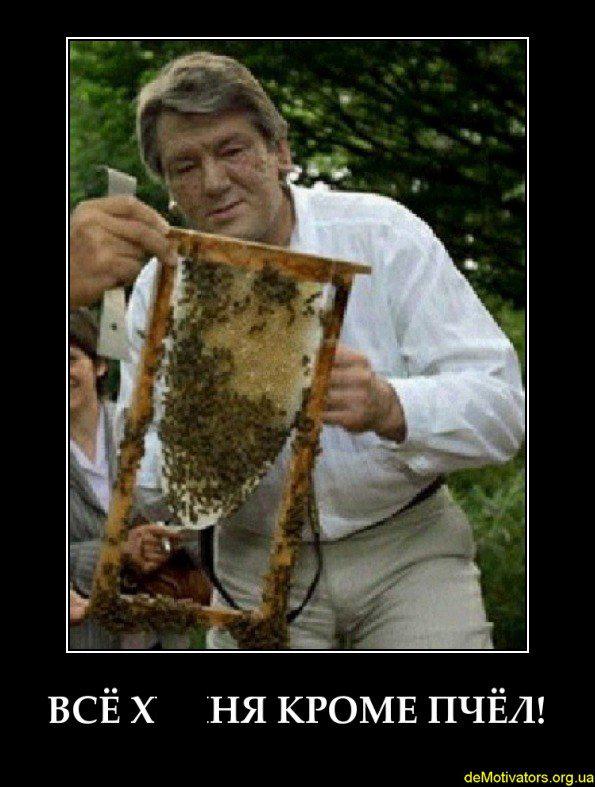 Трутень