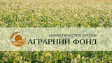 "Аграрный фонд" выплатил государству 211 миллионов дивидендов