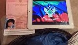 задержание