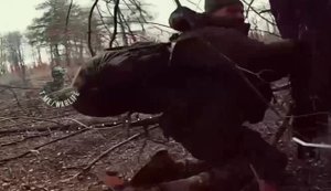 Операторы дронов "SIGNUM" 59-й бригады ликвидировали около 30 оккупантов в лесах под Лиманом. ВИДЕО