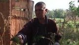 Из одинокого алкоголика черкасская милиция сделала наркобарона: "Мы выпили. Он спросил есть ли конопля. Я говорю: "Иди рви". + ВИДЕО