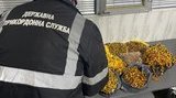 На кордоні з Румунією блоковано спробу контрабанди 9 кг прикрас із бурштину, - ДПСУ. ФОТОрепортаж