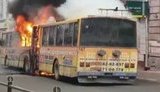 У центрі Тернополя під час руху загорівся тролейбус. ВIДЕО