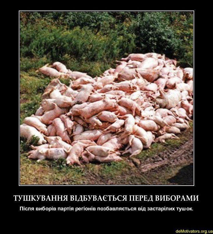 Судьба тушек
