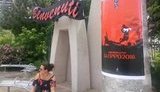 Плакати проти ЧС із футболу в РФ з