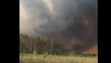 Величезна лісова пожежа у на прикордонні Чернігівщині повернула у бік РФ