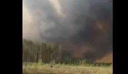 Величезна лісова пожежа у на прикордонні Чернігівщині повернула у бік РФ