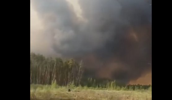 Величезна лісова пожежа у на прикордонні Чернігівщині повернула у бік РФ
