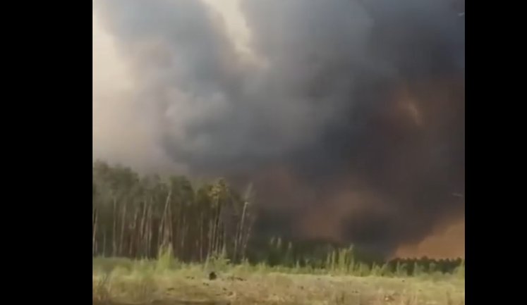 Лісова пожежа на Чернігівщині охопила 4,3 тисячі гектарів і розвернулась в бік Росії. ВIДЕО