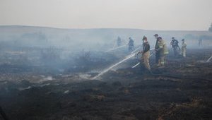Rescuers are extinguishing three ignition sources of peatlands in Kyiv region