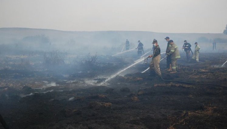 Rescuers are extinguishing three ignition sources of peatlands in Kyiv region