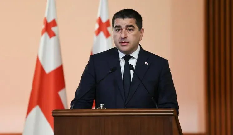 Speaker of Georgian Parliament called Zelenskyy ungrateful person