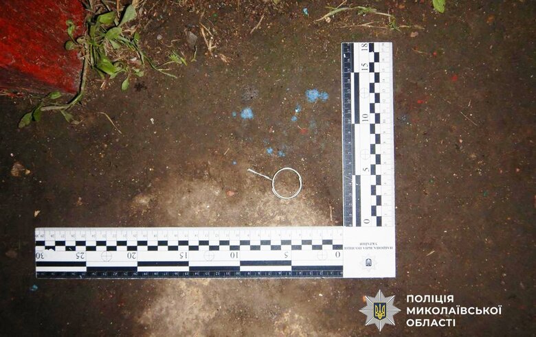 In the Mykolaiv region, a woman detonated a grenade in her neighbours' yard