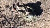 самогубство