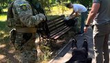 Хотів за $40 тисяч замовити вбивство судді в Одесі: ДБР затримало підозрюваного
