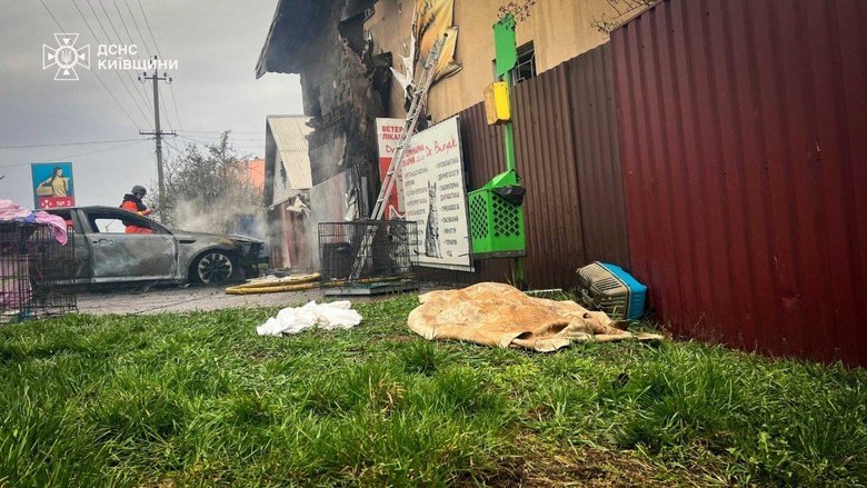 Удар РФ по ветклініці в Чабанах