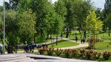 Новому парку на Троєщині, в якому відтворили кримський ландшафт і альтанку, обирають назву. ФОТО