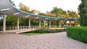 Парламент предоставил дополнительную государственную поддержку детским центрам "Артек" и "Молодая гвардия"