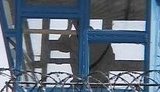 Украинские тюрьмы превращаются в фашистские зоны. Зэки в знак протеста бьют "мастюхи" с Тимошенко.+ ВИДЕО.